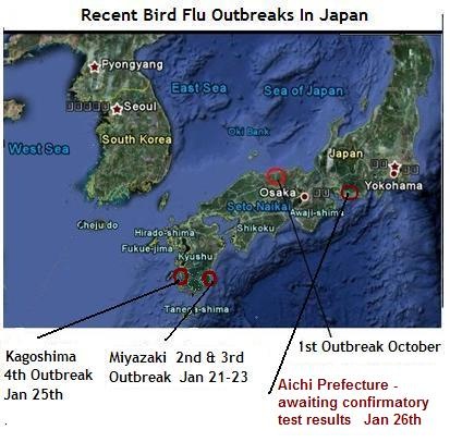 [Bird Flu Japan[7].jpg]