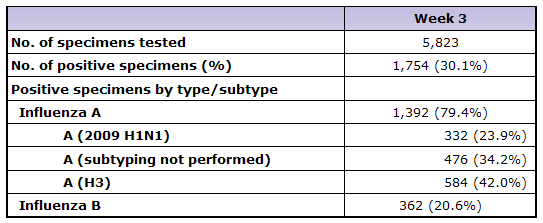 [image[18].png]