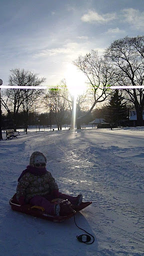 Out for a ride on the sled