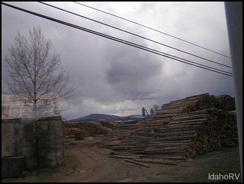 A-typical-logging-company-y