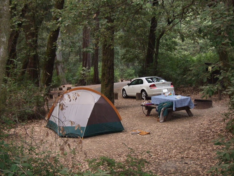 Richardson Grove State Park