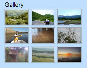 next-gen-gallery-widget.jpg
