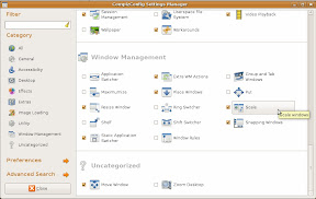 Compiz Settings