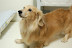 DSC_3192.JPG