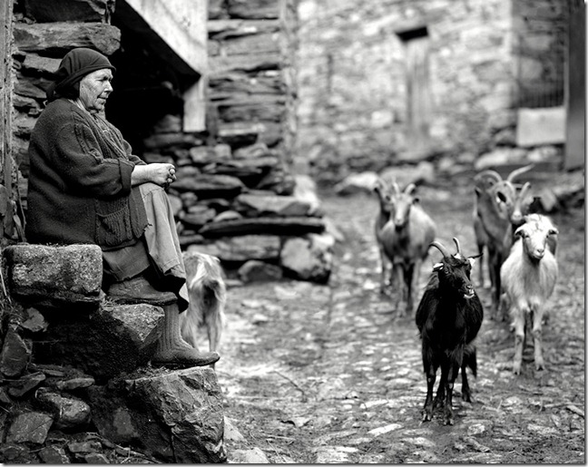Rural Moments by Rui Pires