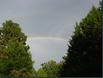 Rainbow and twins 003