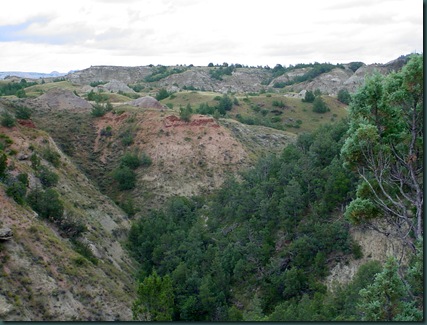 Medora and TR National park 074