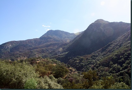 Sequoia National Park 027