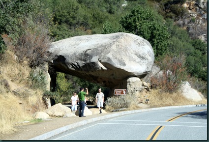 Sequoia National Park 038