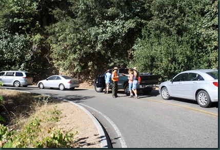 Sequoia National Park 068