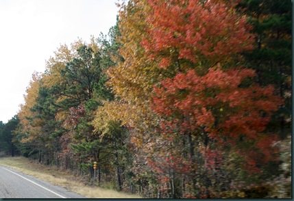 SE OK fall colors 061