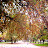 100_5404.JPG