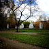 DSCF2433.JPG