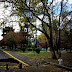 DSCF2435.JPG