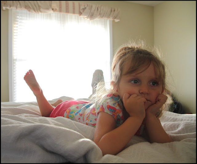 IMAGE: http://lh5.ggpht.com/_CS53BKPLKxo/TMiqjfdv6CI/AAAAAAAAKEQ/PU0Q6eeT-CU/s640/DPP_00100.jpg