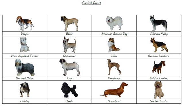 [DogsControlChart5.jpg]