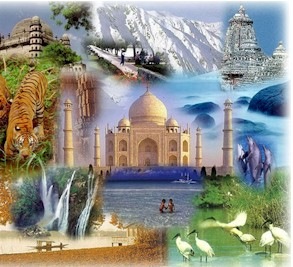 [india[4].jpg]