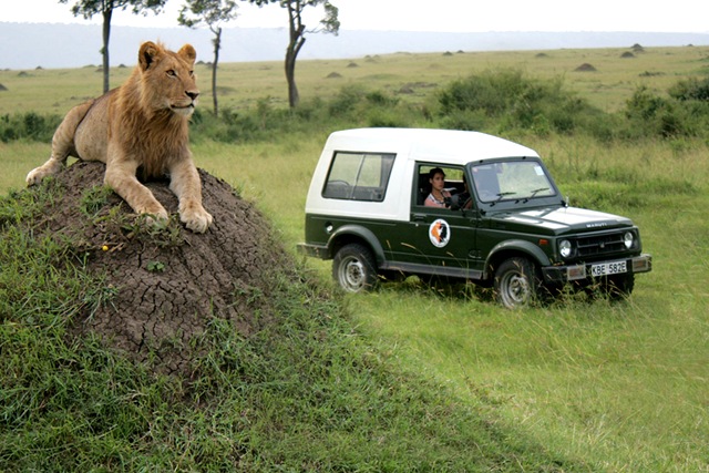 [me with marsh lion small[13].jpg]