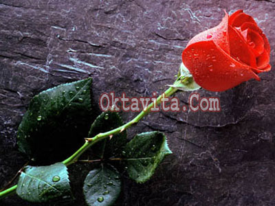 Hadiah Valentine Hadiah Valentine
