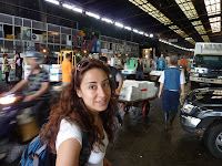 P1020245.JPG Photo
