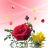 Rose petals - Full mobile app icon