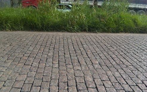 [IMG00175-20100430-1442'[4].jpg]