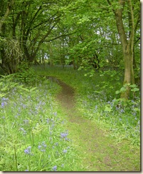 Everdon Stubbs 013
