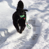 Verbier 2009-2010