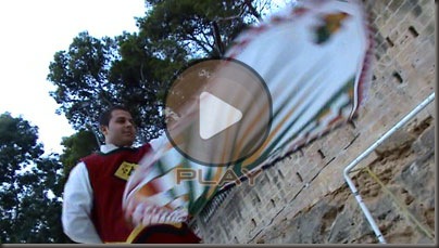 bandiera_2009