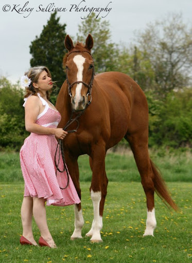 Horses my life