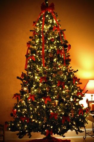 [Christmas tree[3].jpg]