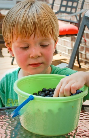 [skylar and blue berries (1 of 1)[4].jpg]