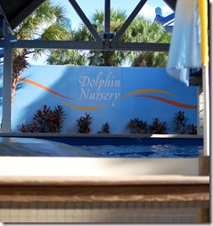 dolphin nursery (1 of 1)