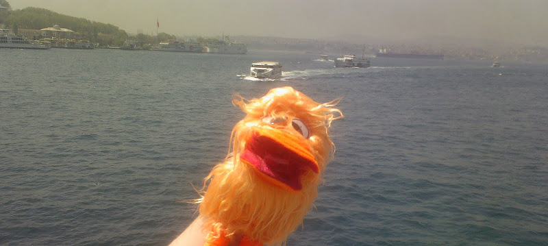 http://lh5.ggpht.com/_Cd9r9JzoApQ/S-P8r_vyYjI/AAAAAAAAC8w/So0m2ng4Qqc/s800/Photo-0090A.jpg