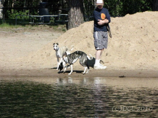 [Hundarpastranden[5].jpg]