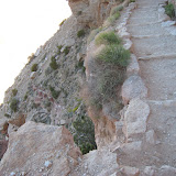 IMG_9254.JPG