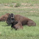 IMG_9435.JPG