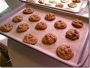 raisinetcookies