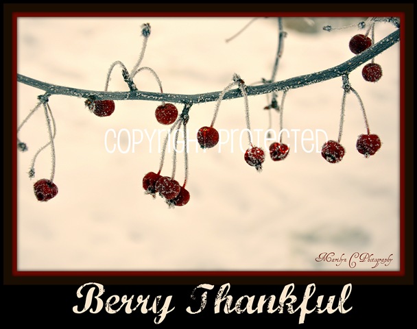 [Berry Thankful CP[2].jpg]