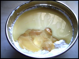 SV103755 SV103755