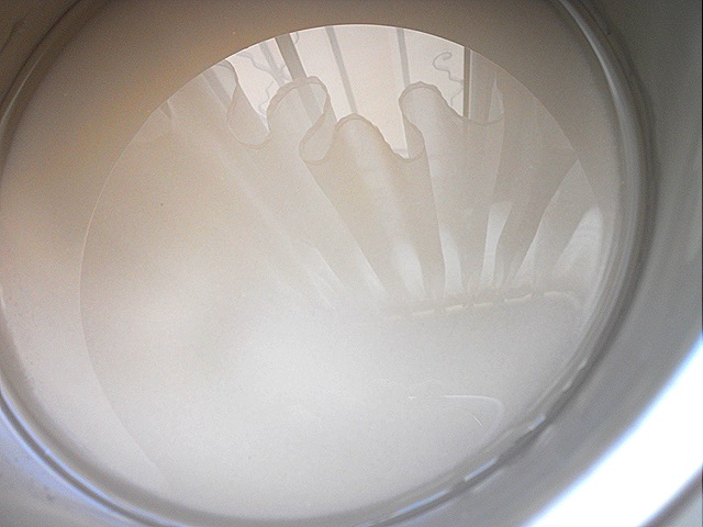 [DSCN24037.jpg]