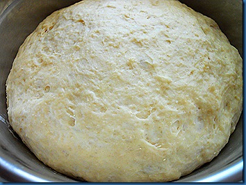 DSCN2497 DSCN2497