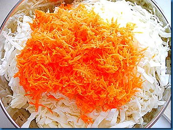 DSCN2483 DSCN2483