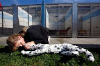 Step 2: Place pet on his right side (legs away from you)... Step 2: Place pet on his right side (legs away from you)...