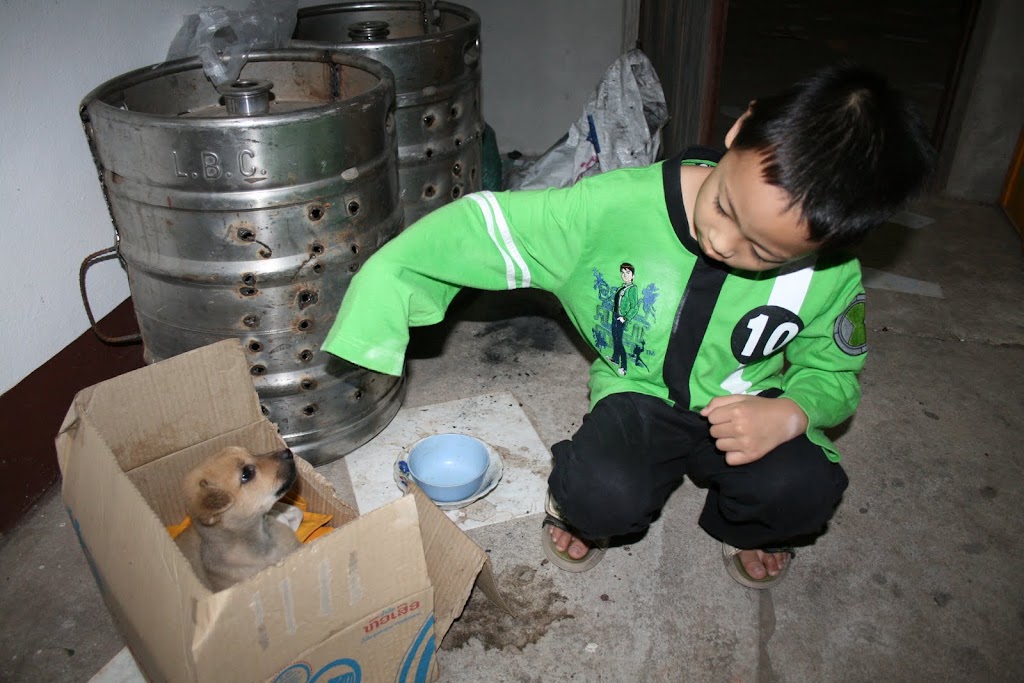 รูปภาพ