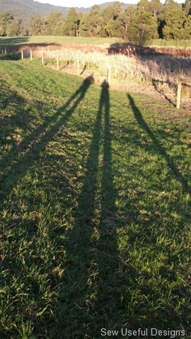[Walking the dog finale[6].jpg]