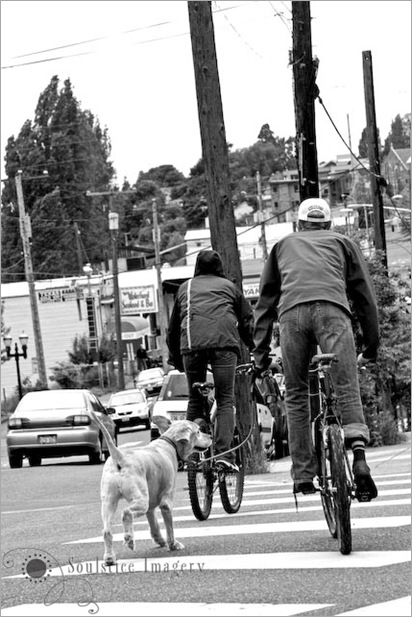 Preferred Mode of Travel-2 copy