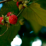 _MG_5780.jpg