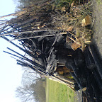 DSC01633.JPG