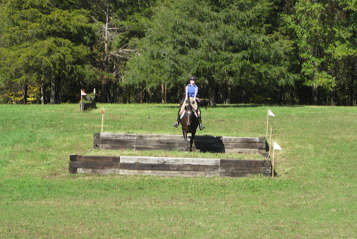 cross country jumping horse. Jumping Cross Country at the